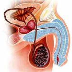 Мужское подполье
