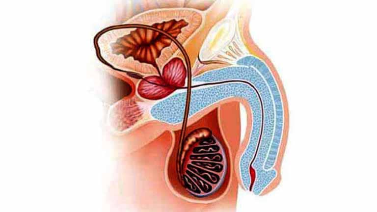 Мужское подполье